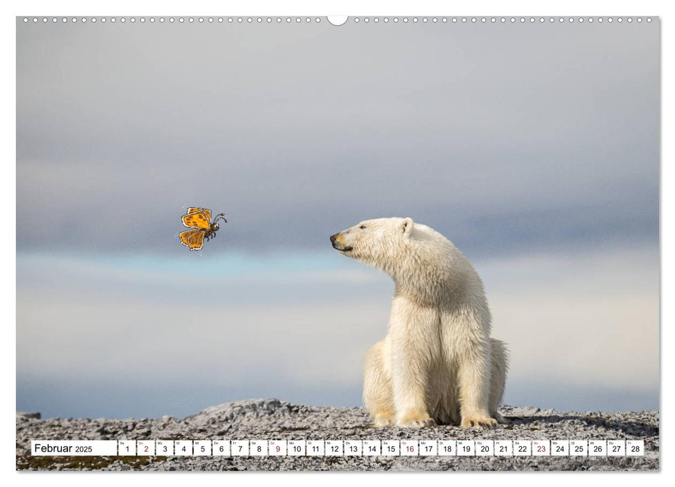 Tierisch verspielt (CALVENDO Premium Wandkalender 2025)