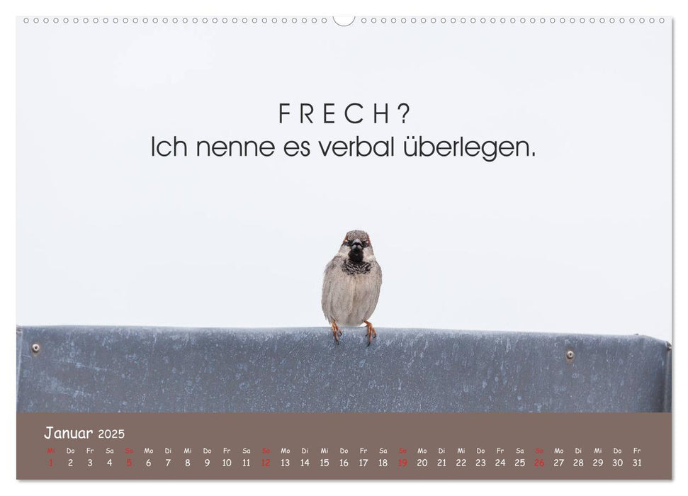 Er kam, sah und tschilpte - Spatzengeschichten vom Balkon (CALVENDO Premium Wandkalender 2025)