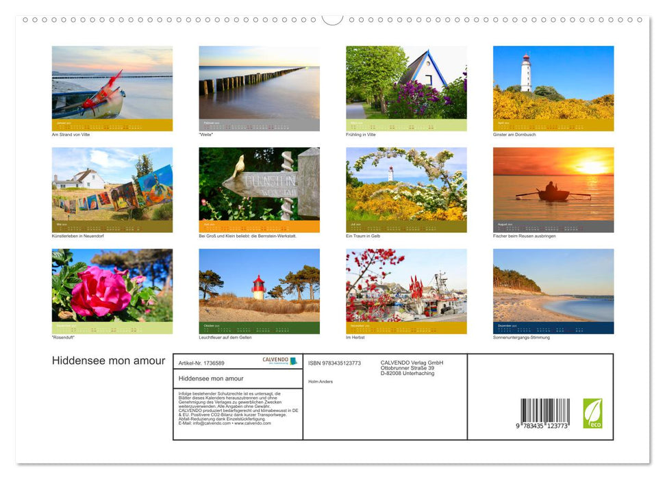 Hiddensee mon amour (CALVENDO Premium Wandkalender 2025)