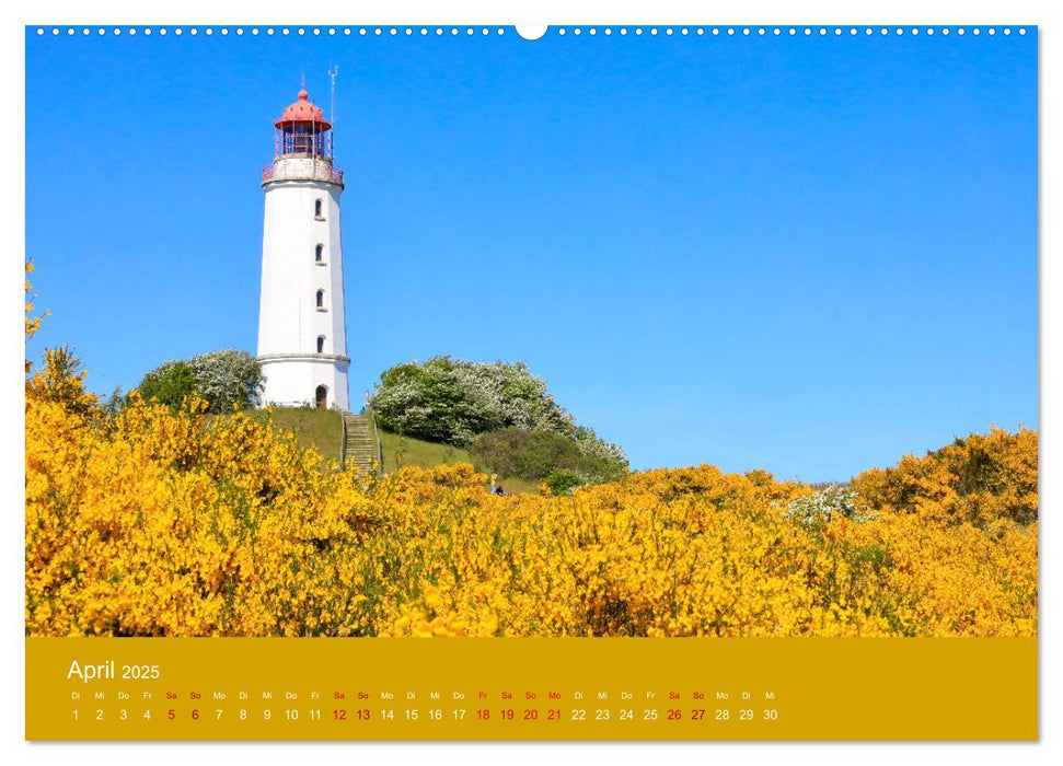 Hiddensee mon amour (CALVENDO Premium Wandkalender 2025)