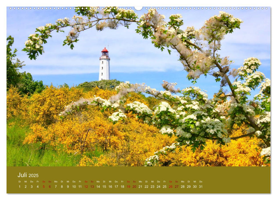 Hiddensee mon amour (CALVENDO Premium Wandkalender 2025)