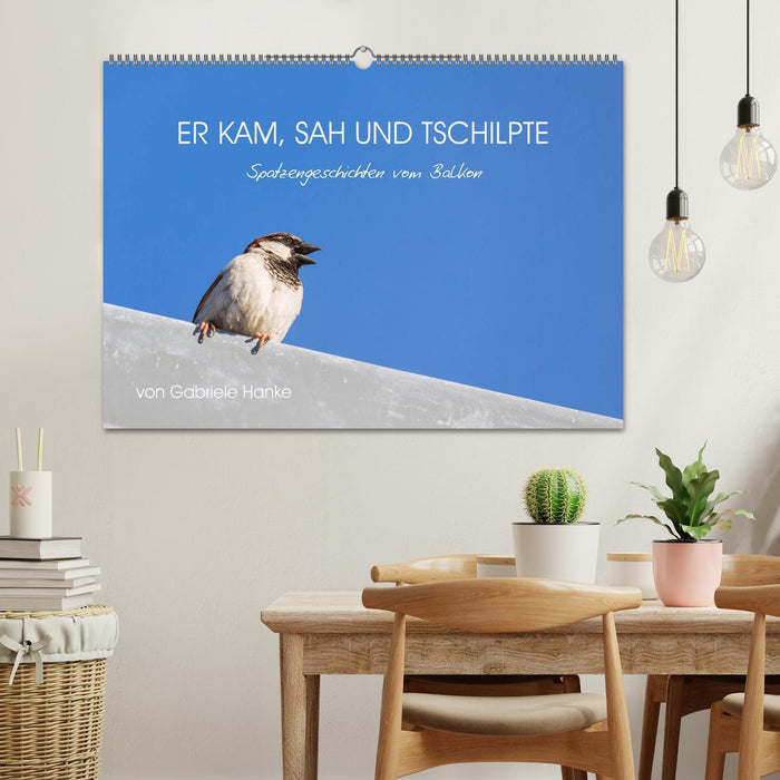 Er kam, sah und tschilpte - Spatzengeschichten vom Balkon (CALVENDO Wandkalender 2025)