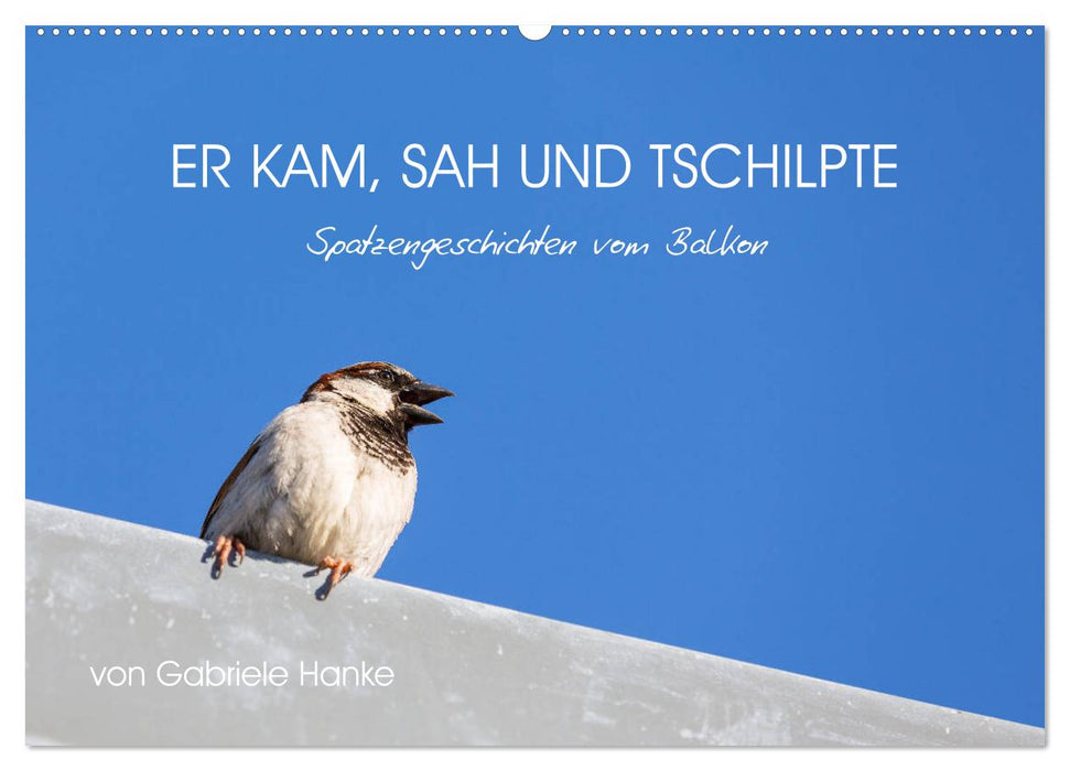 Er kam, sah und tschilpte - Spatzengeschichten vom Balkon (CALVENDO Wandkalender 2025)