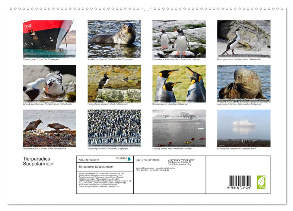 Tierparadies Südpolarmeer (CALVENDO Premium Wandkalender 2025)