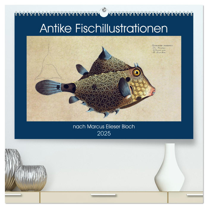 Antike Fischillustrationen nach Marcus Elieser Bloch (CALVENDO Premium Wandkalender 2025)