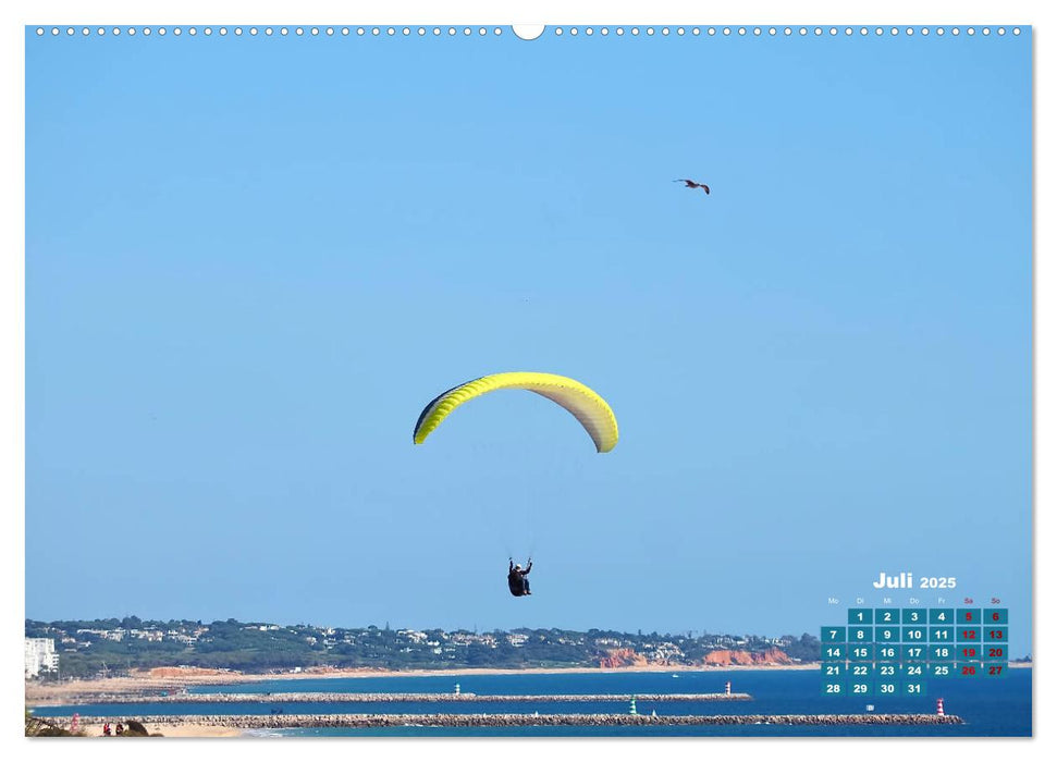 Die Lust am Paragliding (CALVENDO Premium Wandkalender 2025)