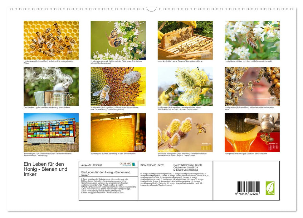 Ein Leben für den Honig - Bienen und Imker (CALVENDO Premium Wandkalender 2025)