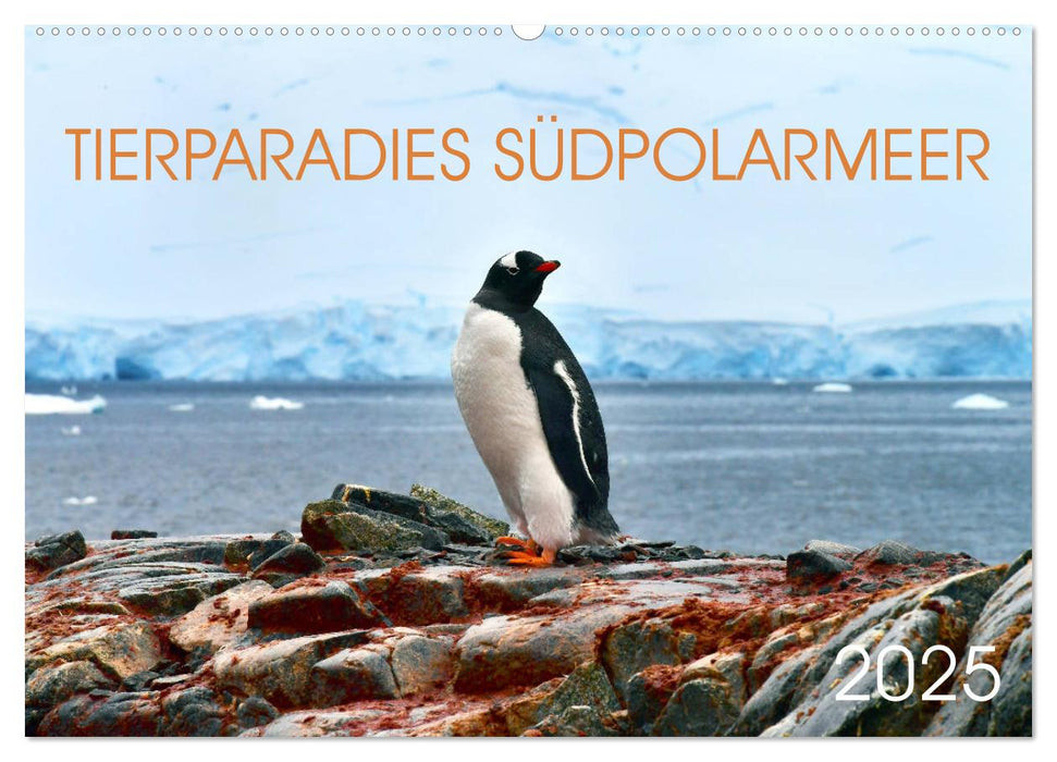 Tierparadies Südpolarmeer (CALVENDO Wandkalender 2025)