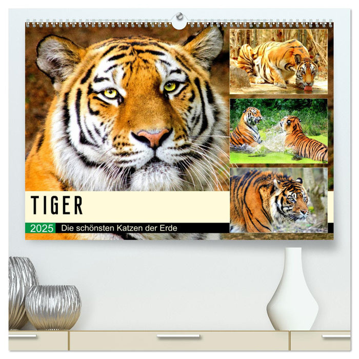 Tiger. Die schönsten Katzen der Erde (CALVENDO Premium Wandkalender 2025)