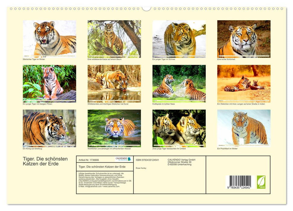 Tiger. Die schönsten Katzen der Erde (CALVENDO Premium Wandkalender 2025)