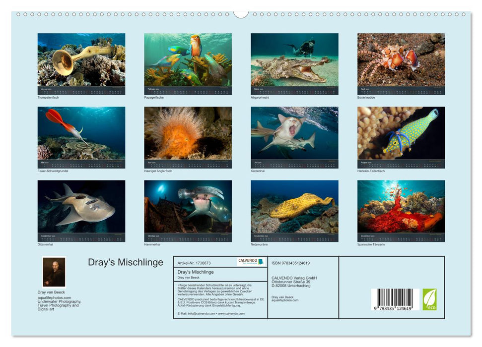 Dray's Mischlinge (CALVENDO Premium Wandkalender 2025)