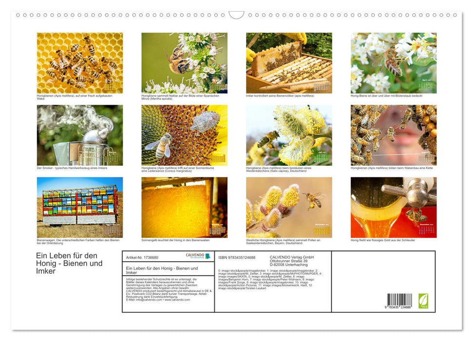 Ein Leben für den Honig - Bienen und Imker (CALVENDO Wandkalender 2025)