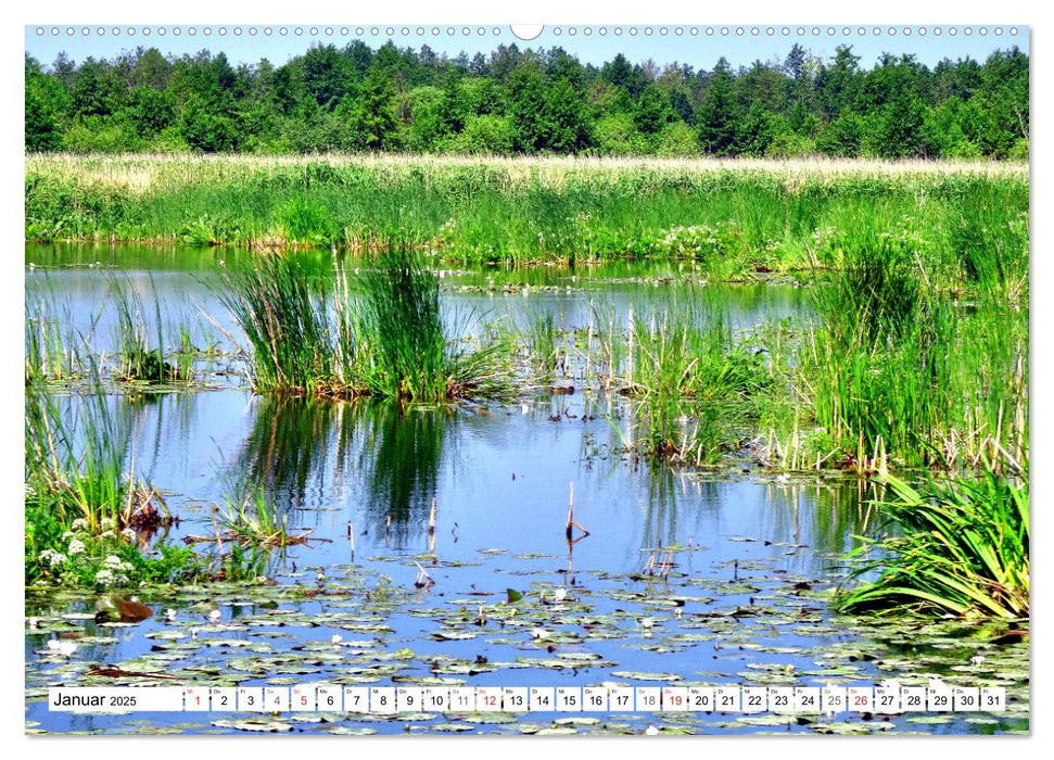 Grünes Europa - Naturparadies Drausensee (CALVENDO Premium Wandkalender 2025)