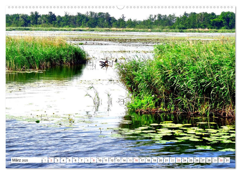 Grünes Europa - Naturparadies Drausensee (CALVENDO Premium Wandkalender 2025)