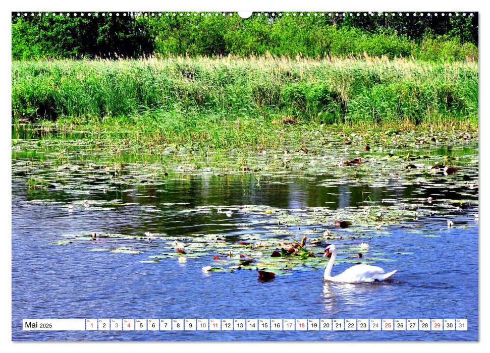 Grünes Europa - Naturparadies Drausensee (CALVENDO Premium Wandkalender 2025)