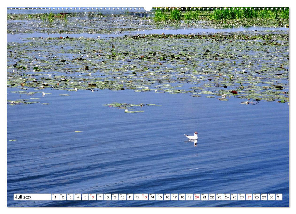 Grünes Europa - Naturparadies Drausensee (CALVENDO Premium Wandkalender 2025)