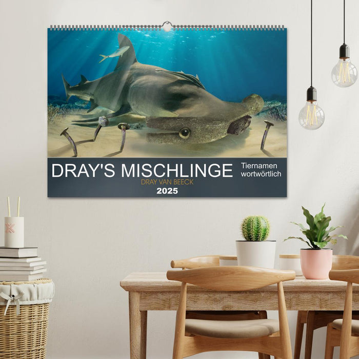 Dray's Mischlinge (CALVENDO Wandkalender 2025)