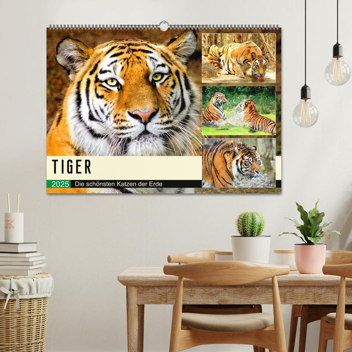 Tiger. Die schönsten Katzen der Erde (CALVENDO Wandkalender 2025)