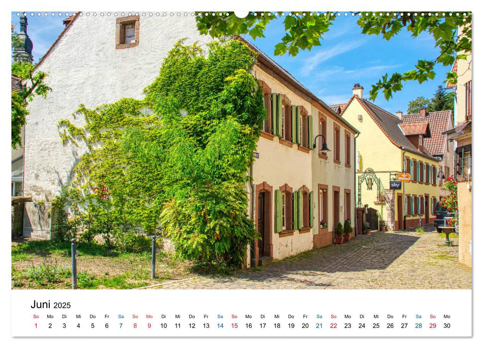 Blieskastel - Die charmante Barockstadt (CALVENDO Wandkalender 2025)