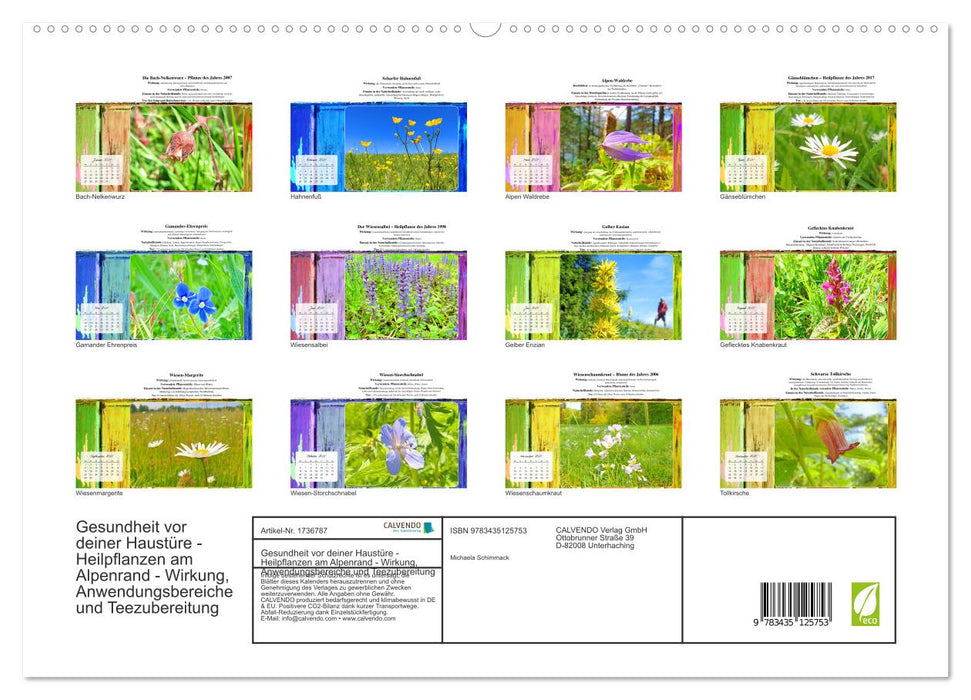 Gesundheit vor deiner Haustüre - Heilpflanzen am Alpenrand - Wirkung, Anwendungsbereiche und Teezubereitung (CALVENDO Premium Wandkalender 2025)