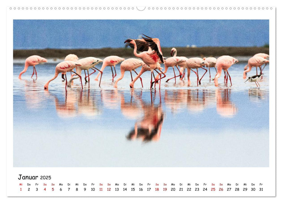 Tierparadies Kenia (CALVENDO Premium Wandkalender 2025)