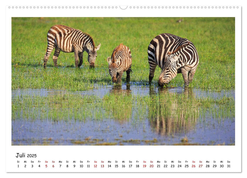 Tierparadies Kenia (CALVENDO Premium Wandkalender 2025)