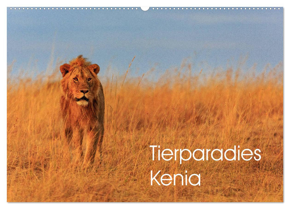 Tierparadies Kenia (CALVENDO Wandkalender 2025)