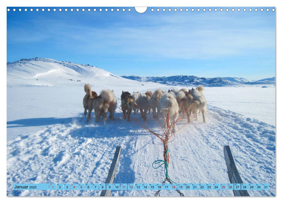 Grönland - Kalaallit Nunaat (CALVENDO Wandkalender 2025)