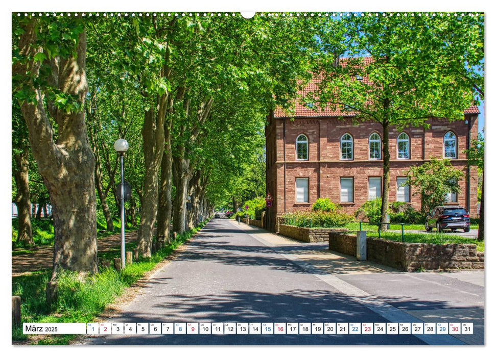 Zweibrücken - Barockstadt mit Charme (CALVENDO Premium Wandkalender 2025)