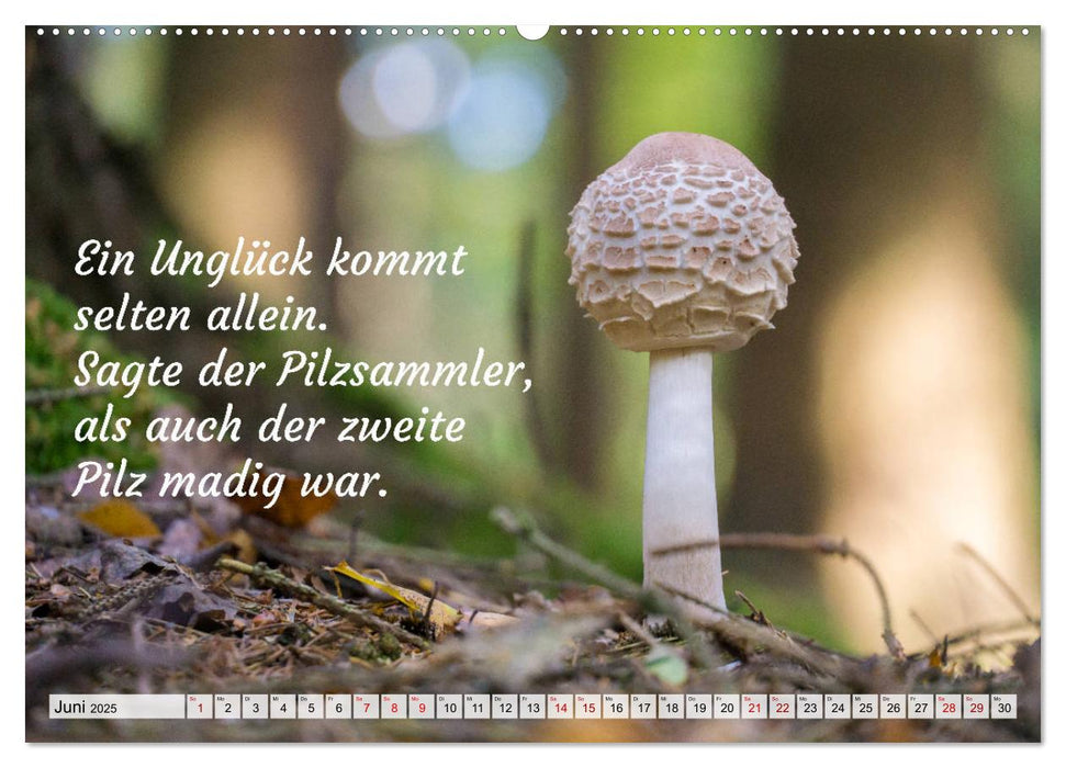 Junge, was hast du`s eilig (CALVENDO Premium Wandkalender 2025)