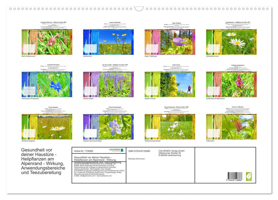Gesundheit vor deiner Haustüre - Heilpflanzen am Alpenrand - Wirkung, Anwendungsbereiche und Teezubereitung (CALVENDO Wandkalender 2025)