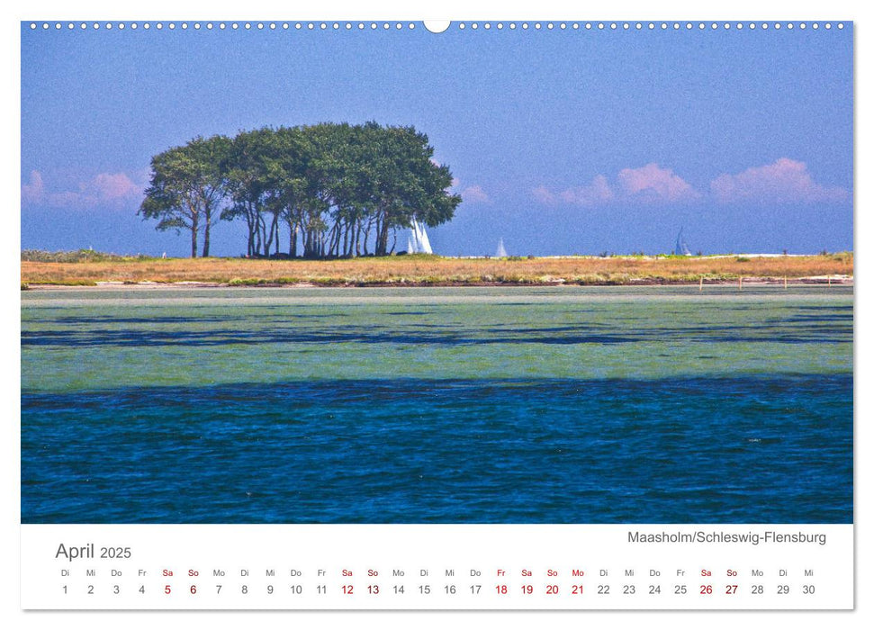 Lieblingsorte an der Ostsee (CALVENDO Premium Wandkalender 2025)