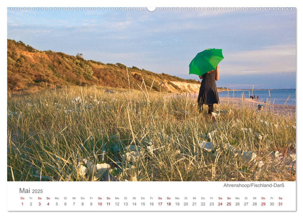 Lieblingsorte an der Ostsee (CALVENDO Premium Wandkalender 2025)