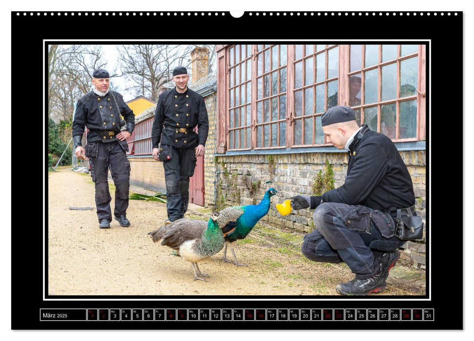 Schornsteinfeger über Berlin - Glücksblicke (CALVENDO Premium Wandkalender 2025)