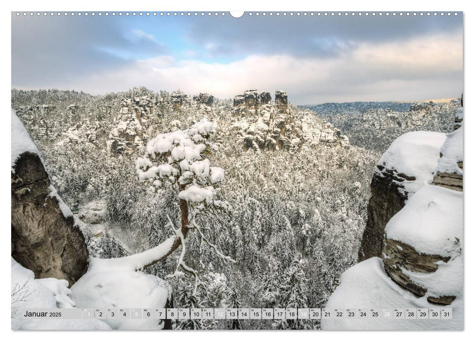 Wunderschöne Sächsische Schweiz (CALVENDO Premium Wandkalender 2025)