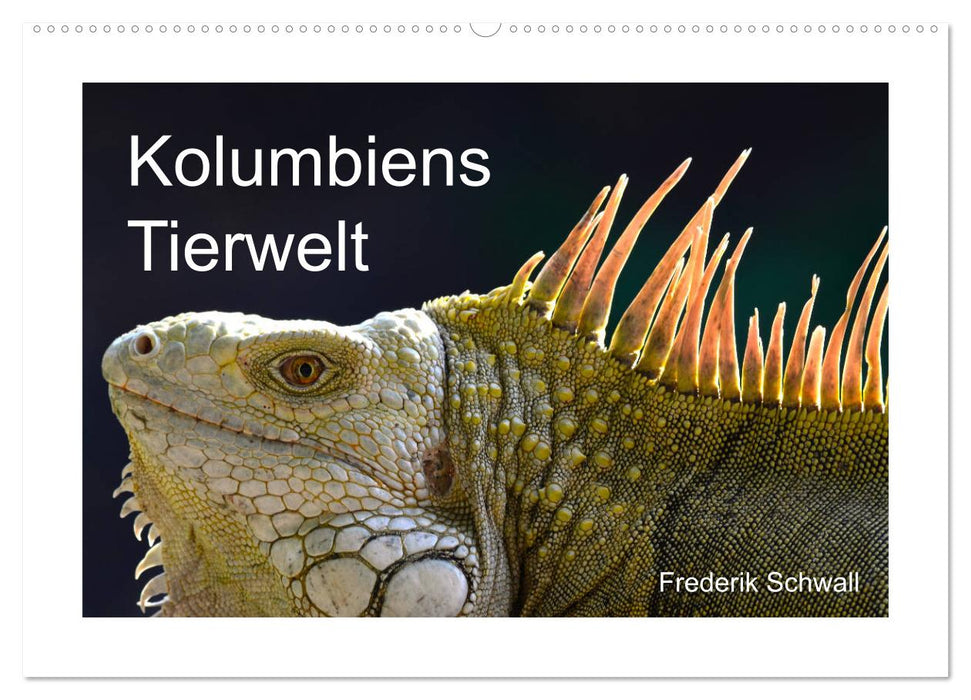 Kolumbiens Tierwelt (CALVENDO Wandkalender 2025)