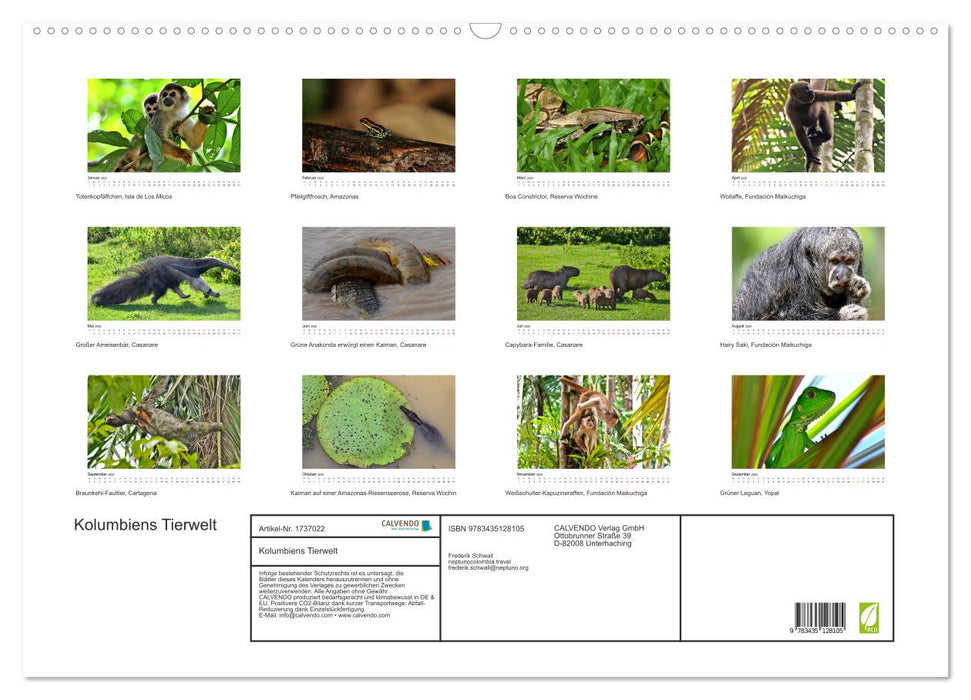 Kolumbiens Tierwelt (CALVENDO Wandkalender 2025)