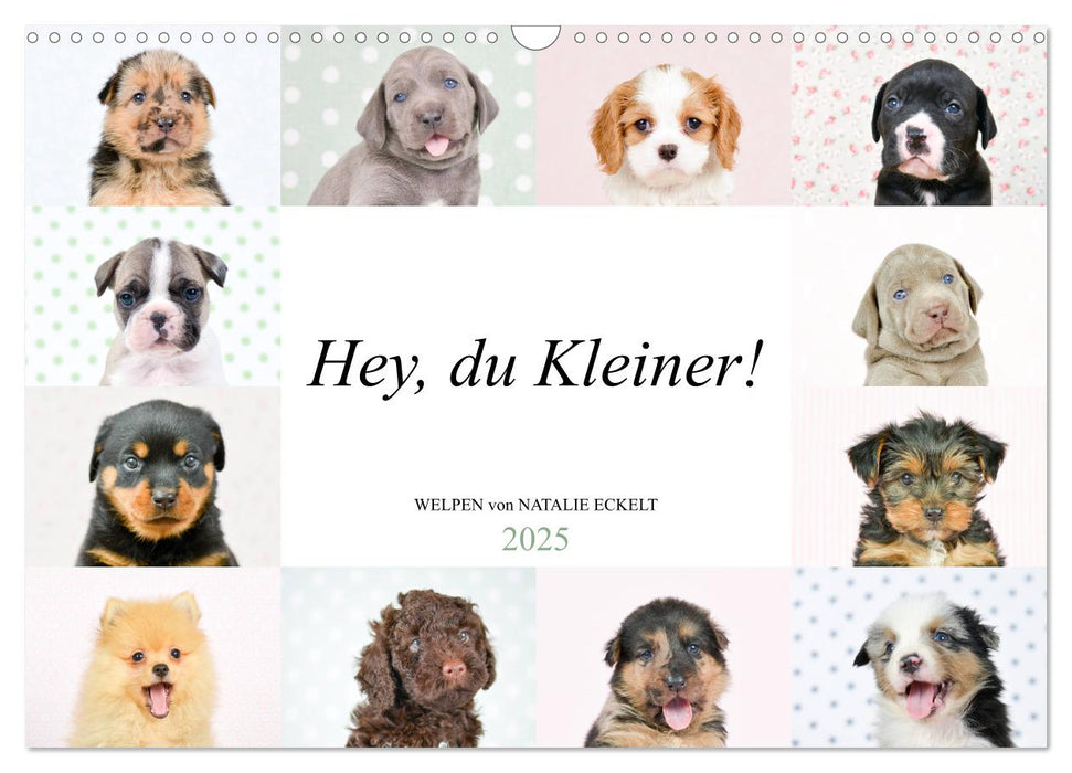 Hey, du Kleiner! (CALVENDO Wandkalender 2025)