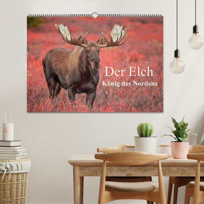 Der Elch - König des Nordens (CALVENDO Wandkalender 2025)