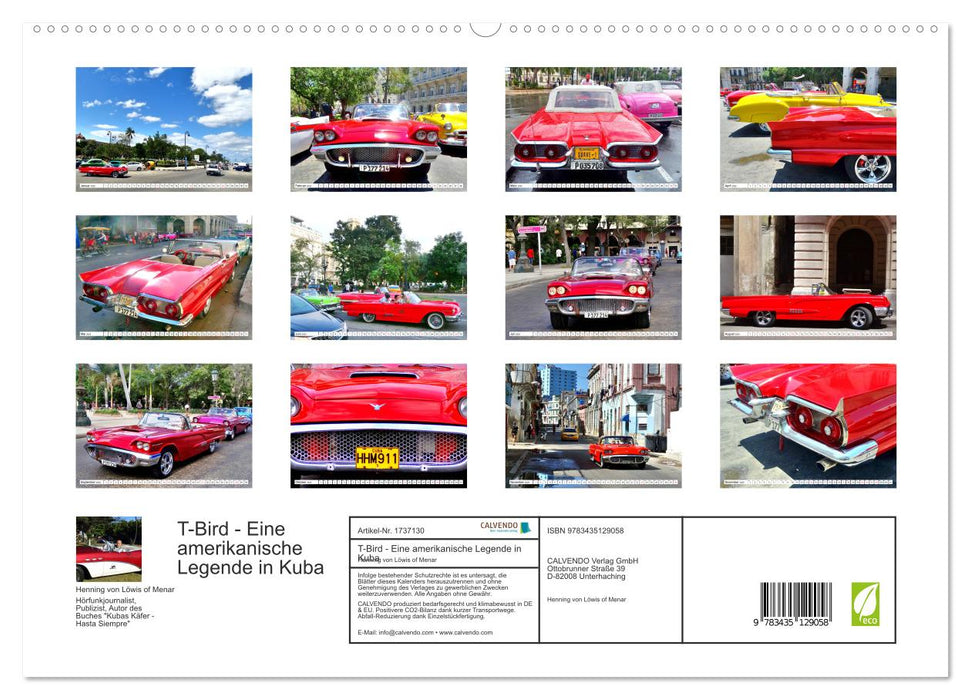 T-Bird - Eine amerikanische Legende in Kuba (CALVENDO Premium Wandkalender 2025)