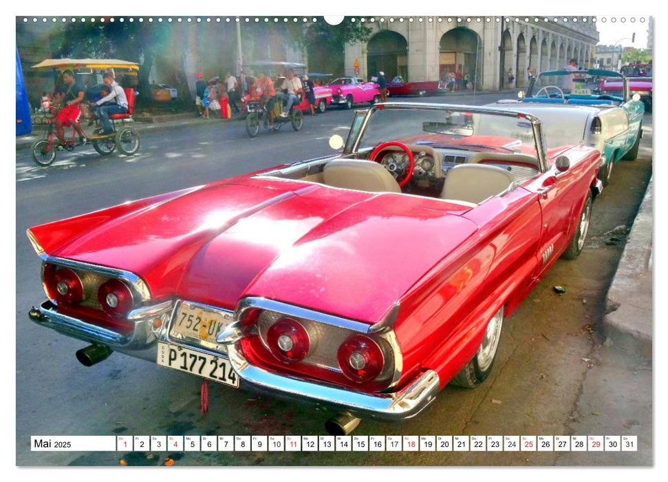 T-Bird - Eine amerikanische Legende in Kuba (CALVENDO Premium Wandkalender 2025)