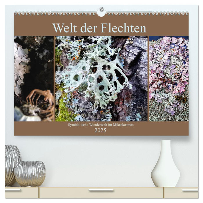 Welt der Flechten (CALVENDO Premium Wandkalender 2025)