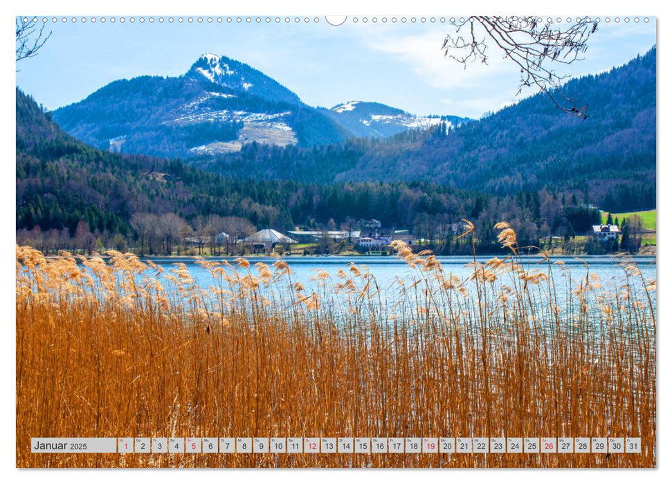 Rund um den Fuschlsee (CALVENDO Premium Wandkalender 2025)