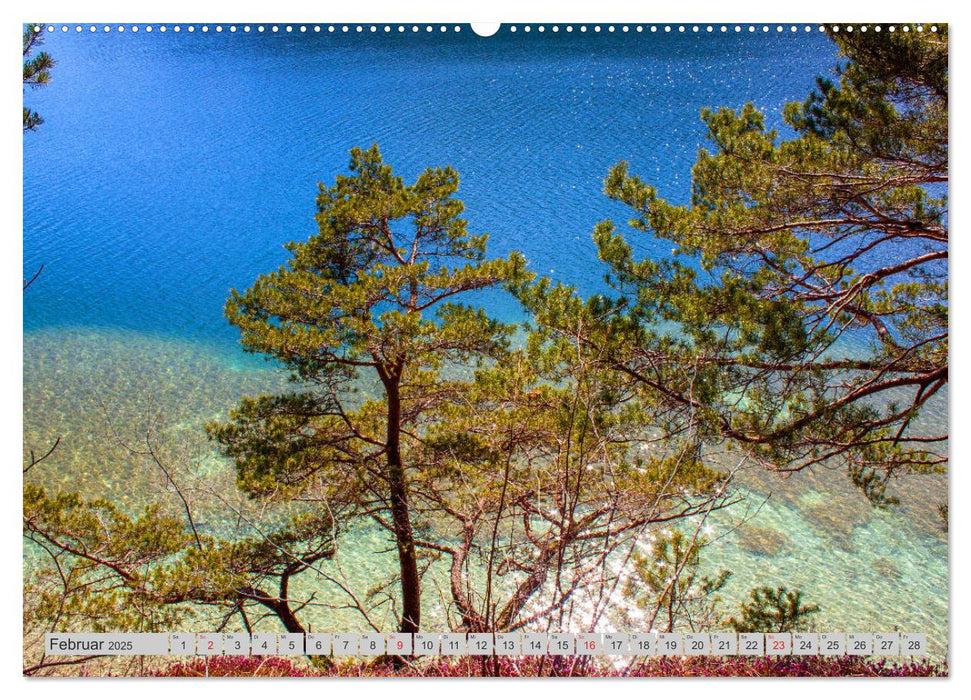 Rund um den Fuschlsee (CALVENDO Premium Wandkalender 2025)