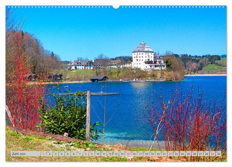 Rund um den Fuschlsee (CALVENDO Premium Wandkalender 2025)