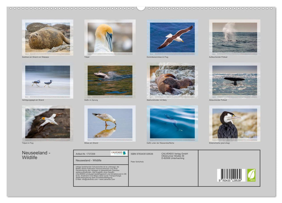 Neuseeland - Wildlife (CALVENDO Premium Wandkalender 2025)