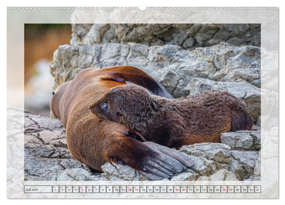 Neuseeland - Wildlife (CALVENDO Premium Wandkalender 2025)