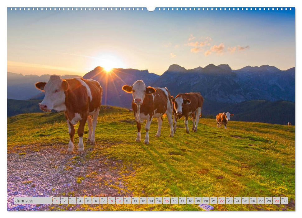 Grüße aus St.Martin (CALVENDO Premium Wandkalender 2025)