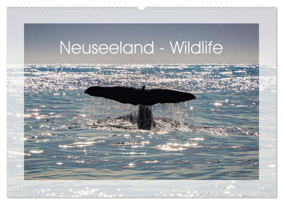 Neuseeland - Wildlife (CALVENDO Wandkalender 2025)