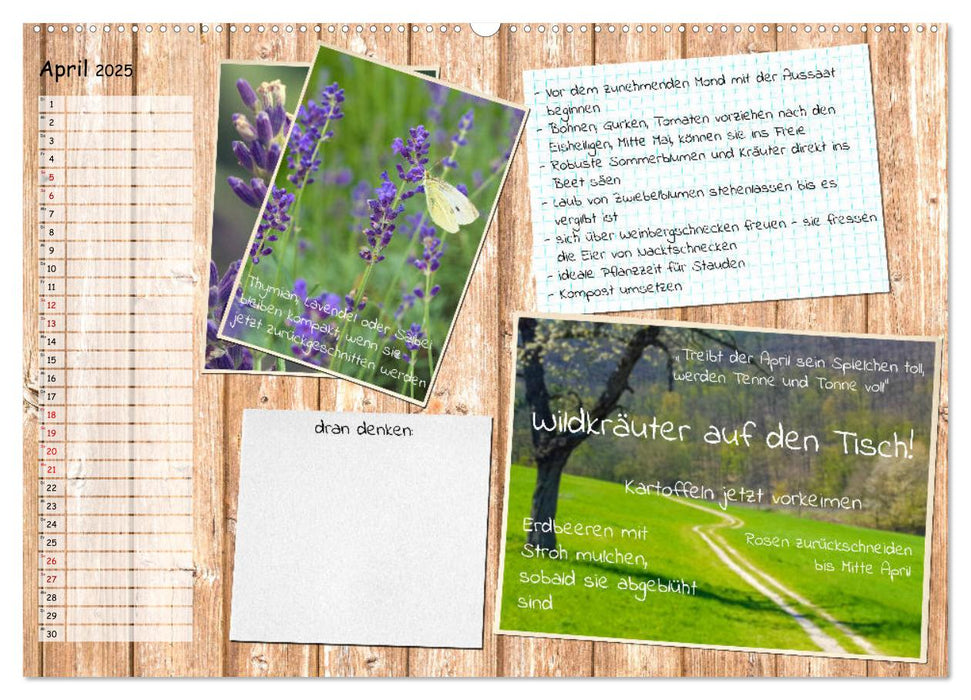 Was ist noch im Garten zu tun? (CALVENDO Premium Wandkalender 2025)